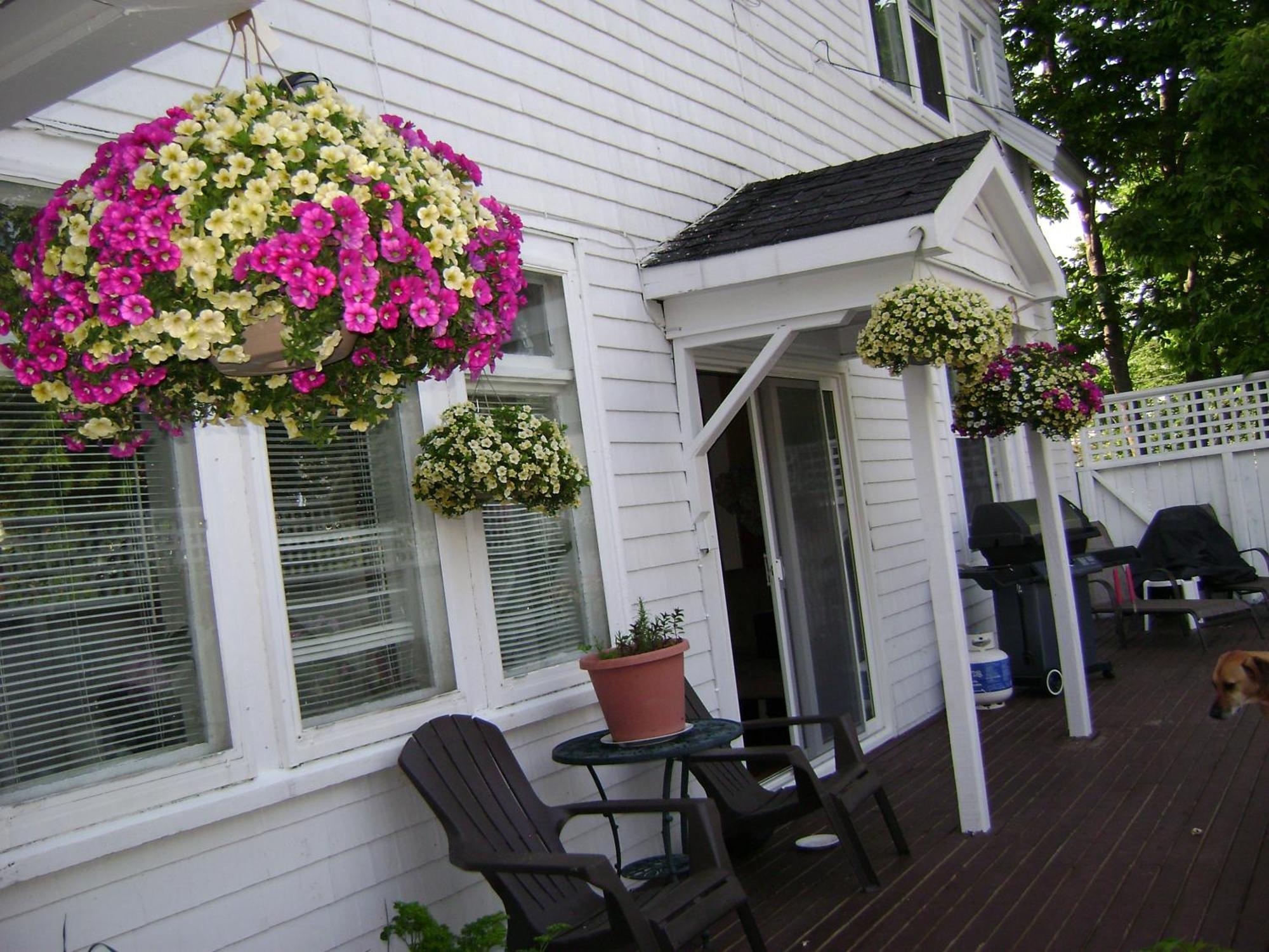 Lakelawn B&B And Motel Yarmouth Luaran gambar